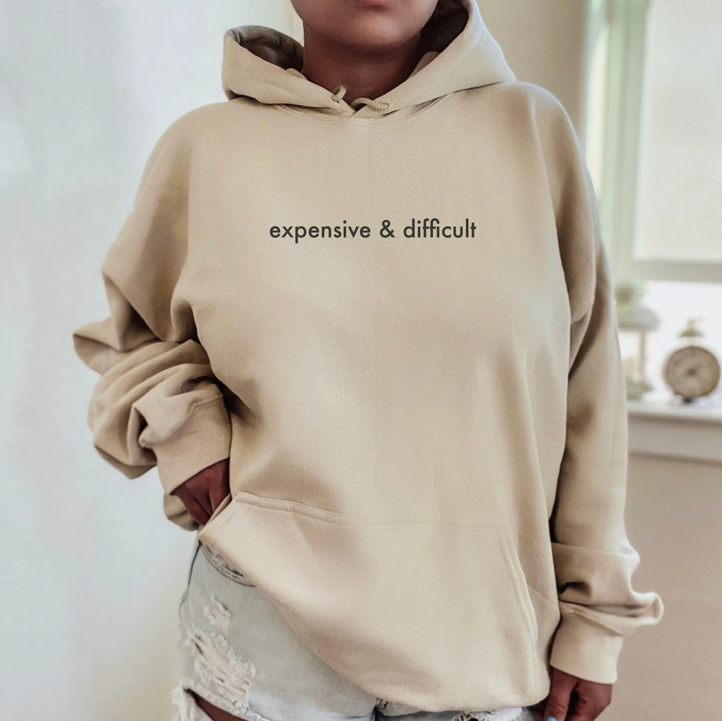 Expensive and Difficult Hooded Sweatshirt