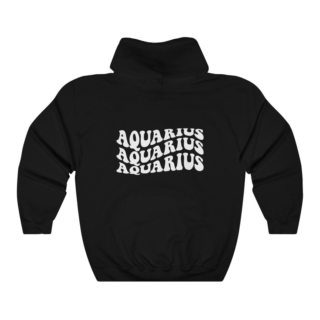 Aquarius Hoodie