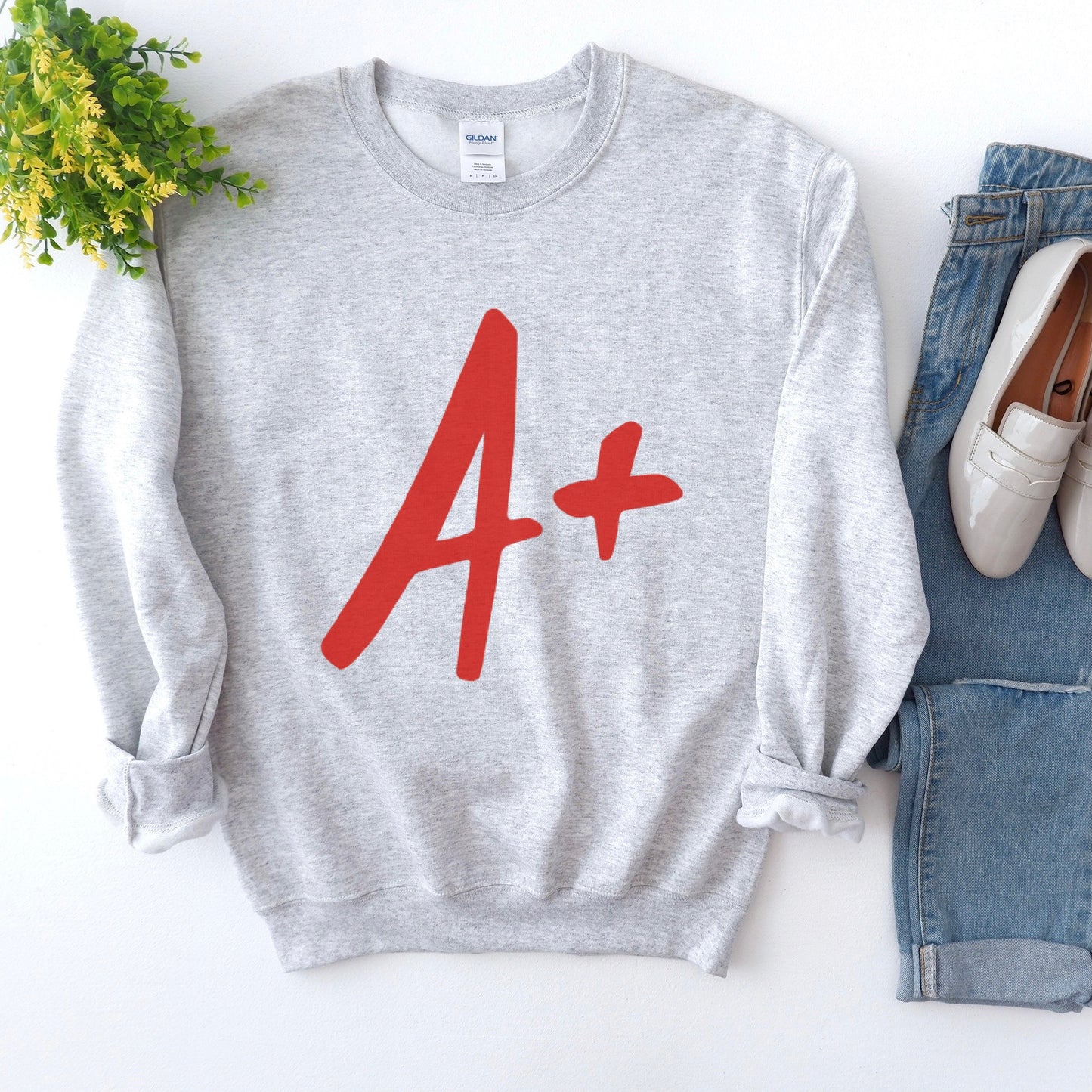 A+ Sweatshirt